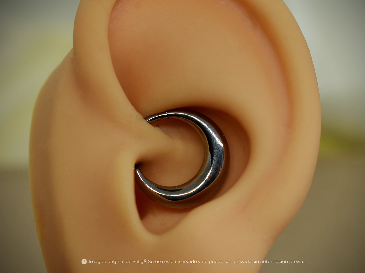 Piercing Fat - Septum / Daith