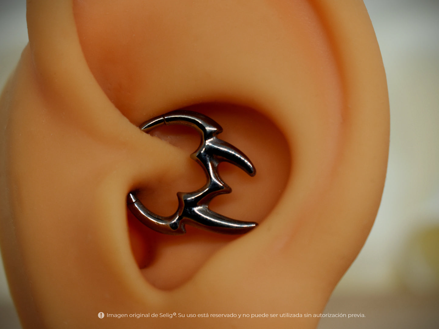 Piercing Tooth - Septum / Daith